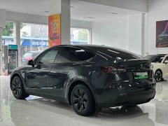 Tesla Model Y 2024 Rear-Wheel Drive - ფოტო 11