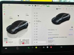 Tesla Model Y 2024 Rear-Wheel Drive - ფოტო 7