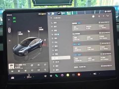 Tesla Model 3 2023 Rear-Wheel Drive - ფოტო 10