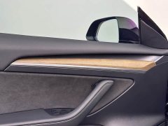 Tesla Model 3 Performance All-Wheel Drive 3D6 - ფოტო 11