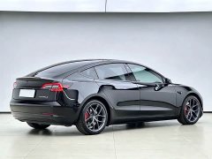 Tesla Model 3 Performance All-Wheel Drive 3D6 - ფოტო 15