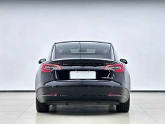 Tesla Model 3 Performance All-Wheel Drive 3D6 - ფოტო 17