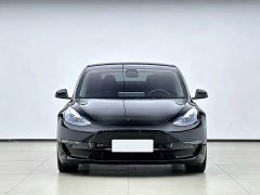 Tesla Model 3 Performance All-Wheel Drive 3D6 - ფოტო 2