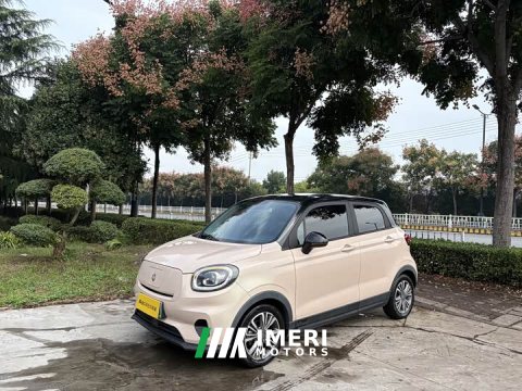 2022 Leapmotor Leapo T03 2021 400 Comfort Edition - ავტომობილი ჩინეთიდან