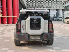 Jetour Traveler C-DM 2024 C-DM 129KM Forest Edition - ფოტო 5