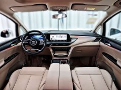 Buick GL8 Land Executive Cabin Advance Edition - ფოტო 11