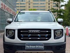 Great Wall Dachshund 2022 1.5T DCT Two-Wheel Drive Husky Edition - ფოტო 11