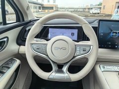 BYD Haima Sealion 05 DM-i 220 Navigator Edition - ფოტო 19