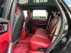 Porsche Cayenne S 2.9T Platinum Edition - ფოტო 13