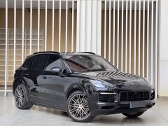 Porsche Cayenne S 2.9T Platinum Edition - ფოტო 3