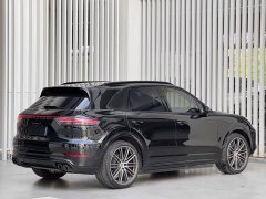 Porsche Cayenne S 2.9T Platinum Edition - ფოტო 4
