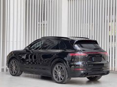 Porsche Cayenne S 2.9T Platinum Edition - ფოტო 6