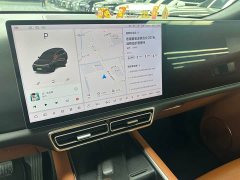 Li Auto L8 Pro - ფოტო 9