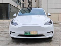 Tesla Model Y Long Range All-Wheel Drive - ფოტო 1