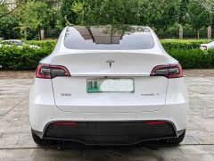 Tesla Model Y Long Range All-Wheel Drive - ფოტო 6