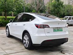Tesla Model Y Long Range All-Wheel Drive - ფოტო 7