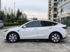 Tesla Model Y Long Range All-Wheel Drive - ფოტო 8