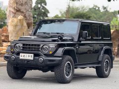Toyota 212 T01 2.0T Long Wind - ფოტო 1
