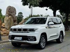 Beijing Jeep BJ60 2022 2.0T Eleventh Edition Five-Seater - ფოტო 1
