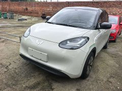 Wuling Binguo 333km Joy Edition - ფოტო 1