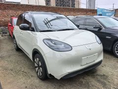 Wuling Binguo 333km Joy Edition - ფოტო 3
