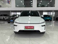 Tesla Model Y Rear-Wheel Drive - ფოტო 2
