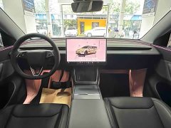Tesla Model Y Rear-Wheel Drive - ფოტო 6