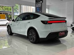 Tesla Model Y Rear-Wheel Drive - ფოტო 9