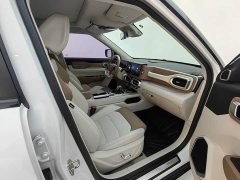 Geely ICON 1.5T Jinli - ფოტო 12