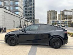Tesla Model Y 2022 Rear-Wheel Drive - ფოტო 14
