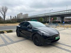 Tesla Model Y 2022 Rear-Wheel Drive - ფოტო 2