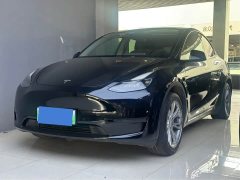 Tesla Model Y 2022 Rear-Wheel Drive - ფოტო 1