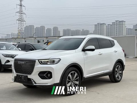2021 Haval H6 2020 1.5L GDIT Automatic Platinum Champion Edition - ავტომობილი ჩინეთიდან