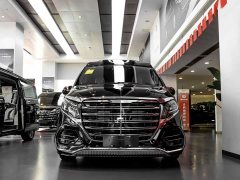 Mercedes-Benz Vito 2.0T High Roof Custom Edition - ფოტო 2