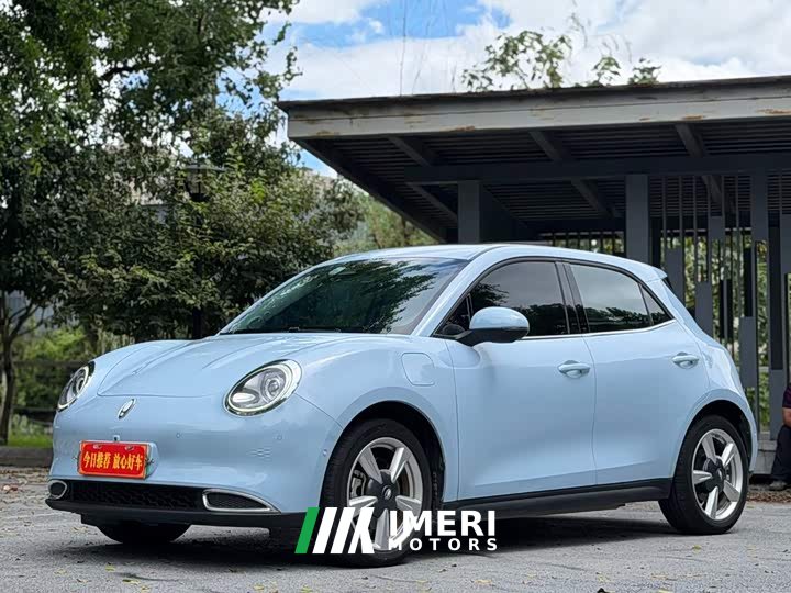 ORA Good Cat 400km Standard Range Athena Edition LFP Battery - ავტომობილი ჩინეთიდან