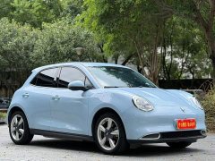 ORA Good Cat 400km Standard Range Athena Edition LFP Battery - ფოტო 2