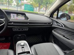 ORA Good Cat 400km Standard Range Athena Edition LFP Battery - ფოტო 9