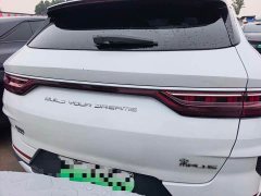 BYD Song Plus New Energy DM-i 110KM Flagship Plus - ფოტო 10