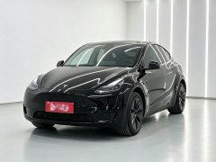 Tesla Model Y Rear-Wheel Drive - ფოტო 1