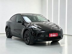 Tesla Model Y Rear-Wheel Drive - ფოტო 3