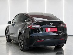 Tesla Model Y Rear-Wheel Drive - ფოტო 9