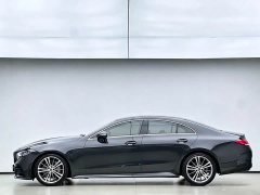 Mercedes-Benz CLS 300 AMG Dynamic - ფოტო 14