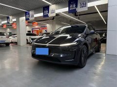 Tesla Model Y Rear-Wheel Drive - ფოტო 1