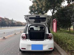 Changan Lumin 2022 210km Sweet Edition - ფოტო 13