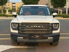 Haval Manlong New Energy 2024 Hi4 102 Pro - ფოტო 2