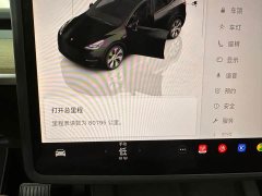 Tesla Model Y 2022 Long Range All-Wheel Drive - ფოტო 10