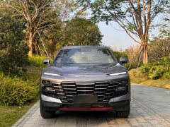 Jetour Jietu Dasheng 2022 1.6T DCT King PRO - ფოტო 2