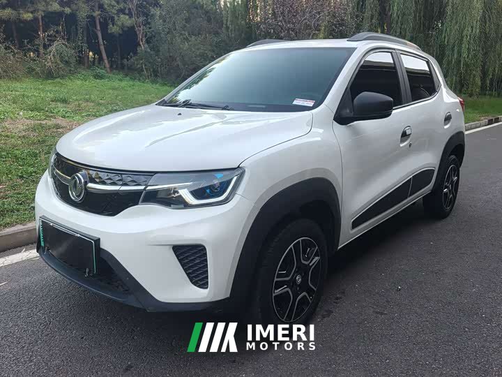 Dongfeng Nano EX1 Nanotech EX1 PRO Tiger Shine Edition Standard - ავტომობილი ჩინეთიდან