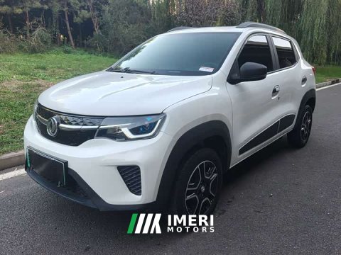2022 Dongfeng Nano EX1 Nanotech EX1 PRO Tiger Shine Edition Standard - ავტომობილი ჩინეთიდან