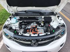 Dongfeng Nano EX1 Nanotech EX1 PRO Tiger Shine Edition Standard - ფოტო 16